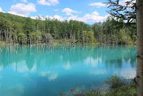 北海道 美瑛 白金青い池