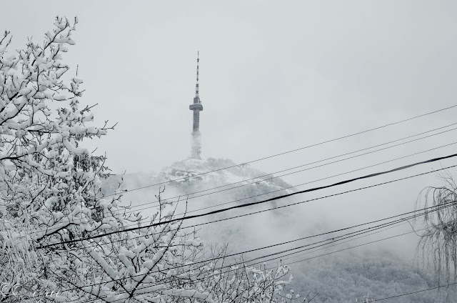 Winter-fairytale-Зимна-приказка