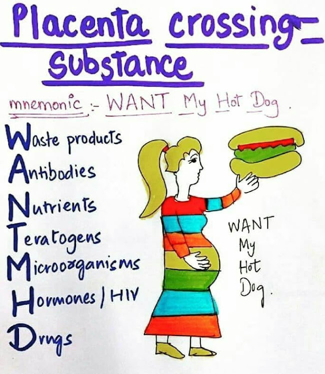 Placenta crossing substance mnemonic