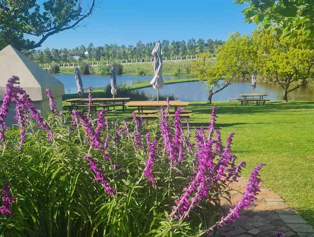 L'Avenir lawns - Stellenbosch