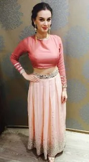 Evelyn Sharma Family Husband Son Daughter Father Mother Marriage Photos Biography Profile.