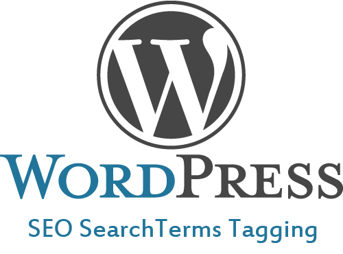 Hiển thị từ khóa trên Google với plugin SEO SearchTerms Tagging