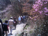 根ノ上高原散策路