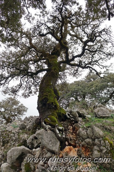 Chorreras del Mitano - Casa de Fardela