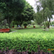 View album