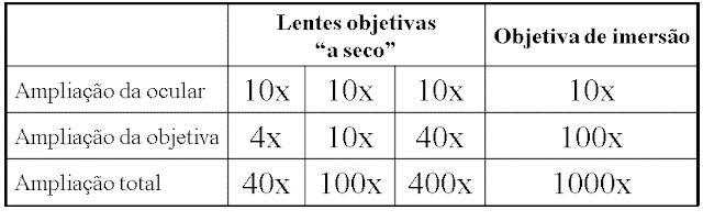 Tabela para cálculo da ampliação total proporcionada pelo microscópio de luz.