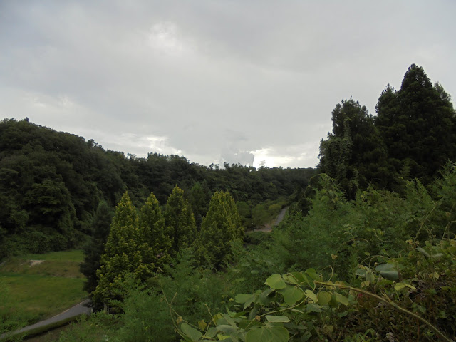 別所川渓流植物園