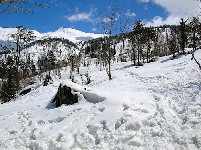 Himachal Tours