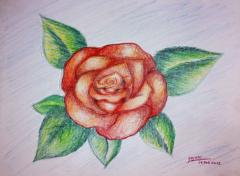 49+ Contoh Sketsa Lukisan Bunga