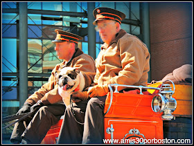 St. Patrick´s Day 2014 en Boston