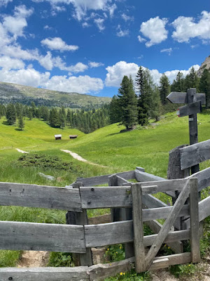 Passeggiata adatta a tutti sulle Dolomiti