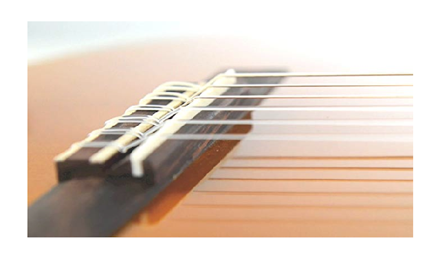 https://frankbaytips.blogspot.com/2019/08/yamaha-classical-guitar-c4011-price-rs.html?m=1