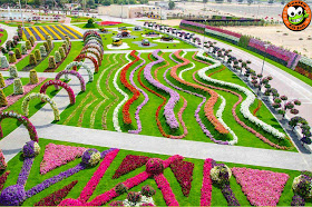 Dubai Miracle Garden, Taman, Bunga, Terbesar, Di Dunia