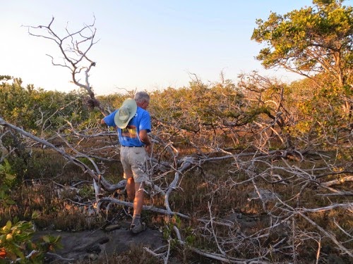SearchingfortheTrailBeforetheSunSets-4-2015-02-16-08-26.jpg