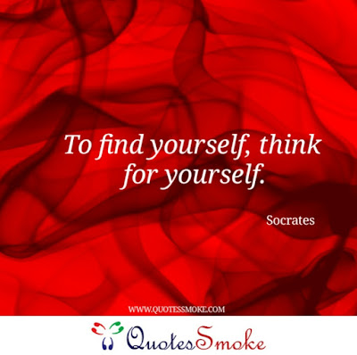 109 Wonderful Socrates Quotes which reflects Wisdom