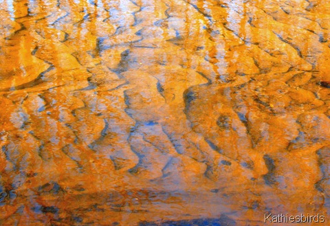 22. ripples-kab