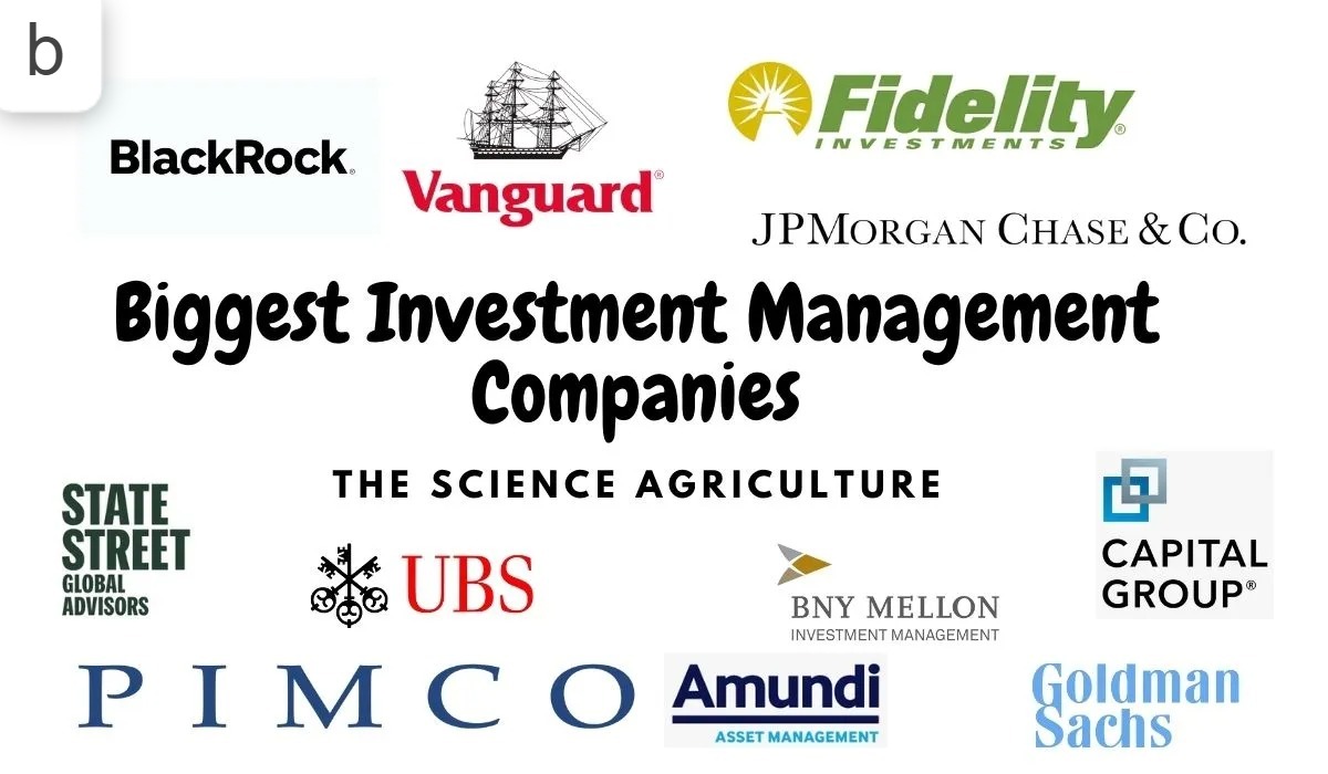 the Top 30 Investment Companies in the World