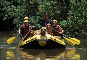 Pets Adventure 8 (56_1) (38)