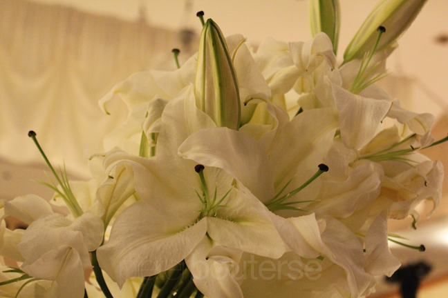 Oriental lilies Groupings of flowers in glass vases were created with 