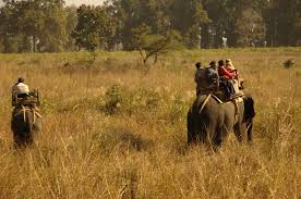 kanha park safari ,kanha national paark safari hindi