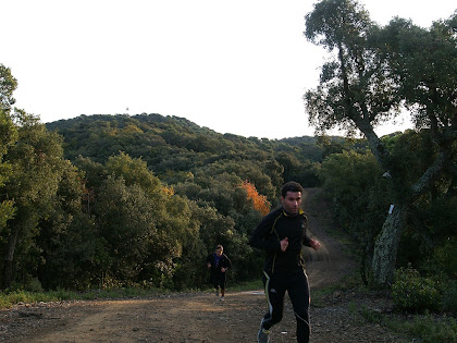 El camí de Miralles amb el Turó Gros de Miralles al fons i la seva torre de guaita contra incendis