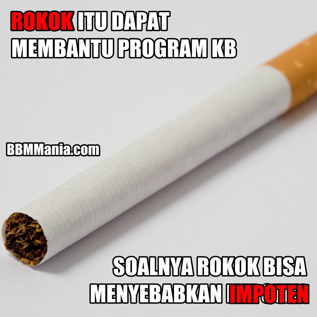 Gambar Kata Lucu Rokok Dp Bbm Lucu Untuk Hari Ini