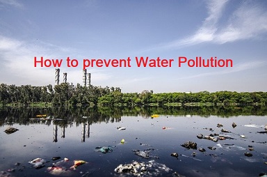 How to prevent water pollution Essay, How can we prevent water pollution, essay on how to prevent water pollution, how to reduce water pollution