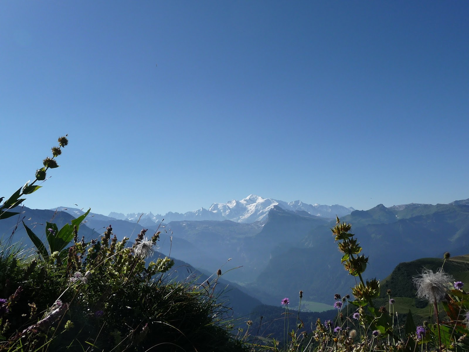 Le Margalier Balade Samoëns La Bourgeoise Pointe D - 