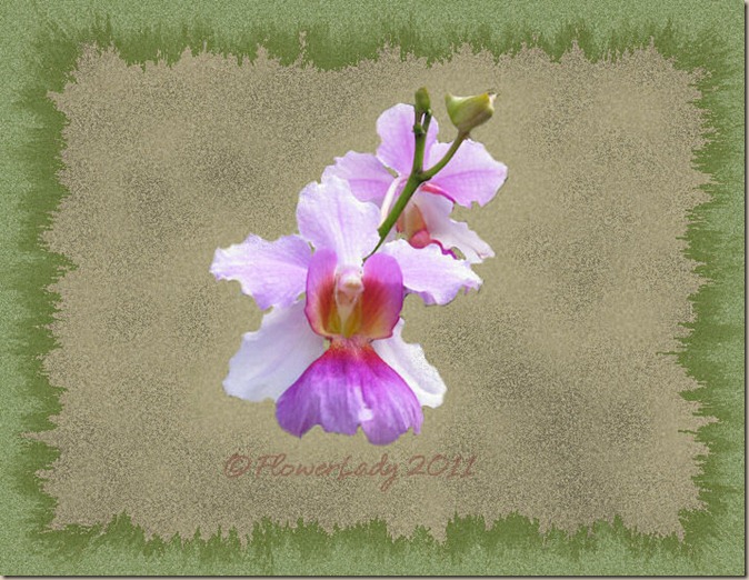 07-25-bckgrnd-test