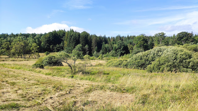 Beskid Niski - szlaki, co zobaczyć, atrakcje regionu