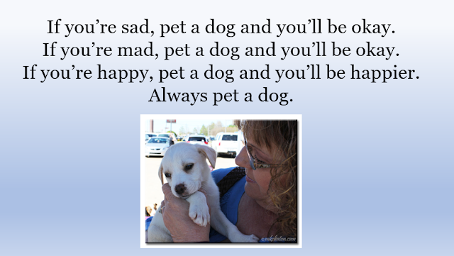 Pet a dog quote with woman and puppy