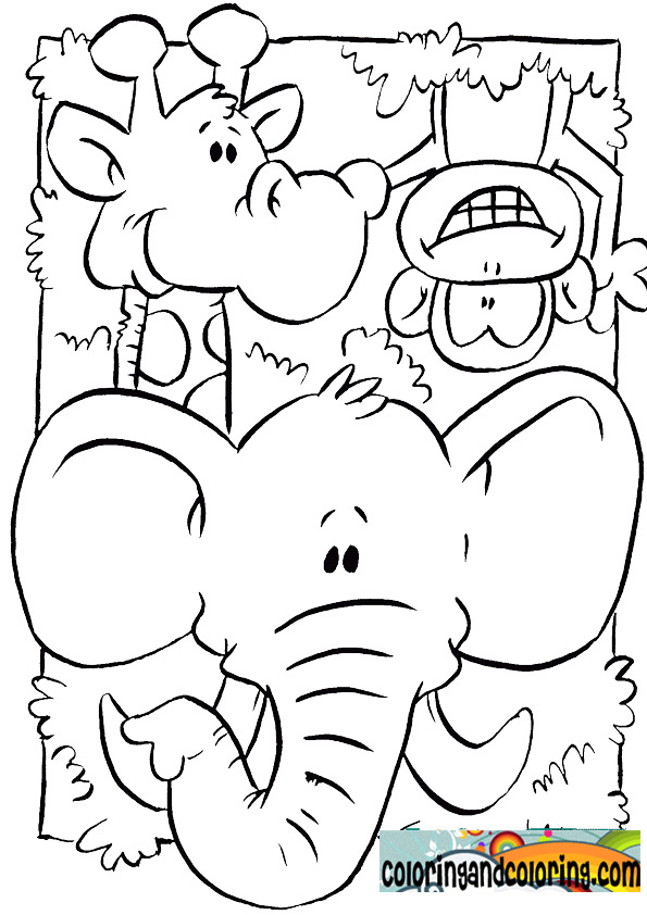 jungle animals coloring pages for kids  Coloring and coloring