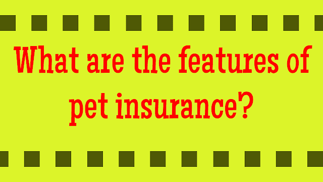 What are the features of pet insurance?
