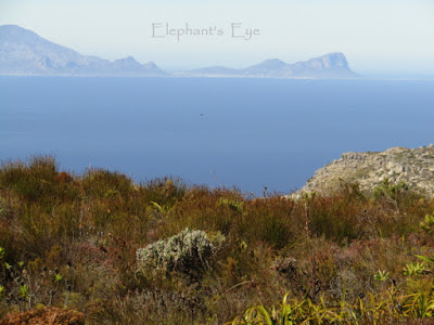 Silvermine to Cape Hangklip