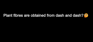 Plant fibres are obtained from dash and dash?