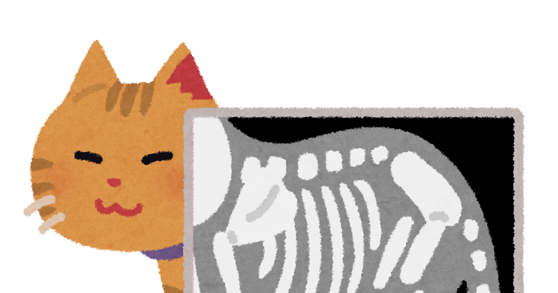 猫のレントゲン検査のイラスト かわいいフリー素材集 いらすとや