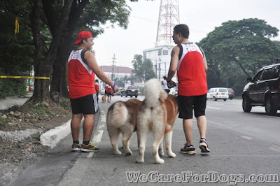 2 large Alaskan Malamutes also joined the event - #RunFurLife2016