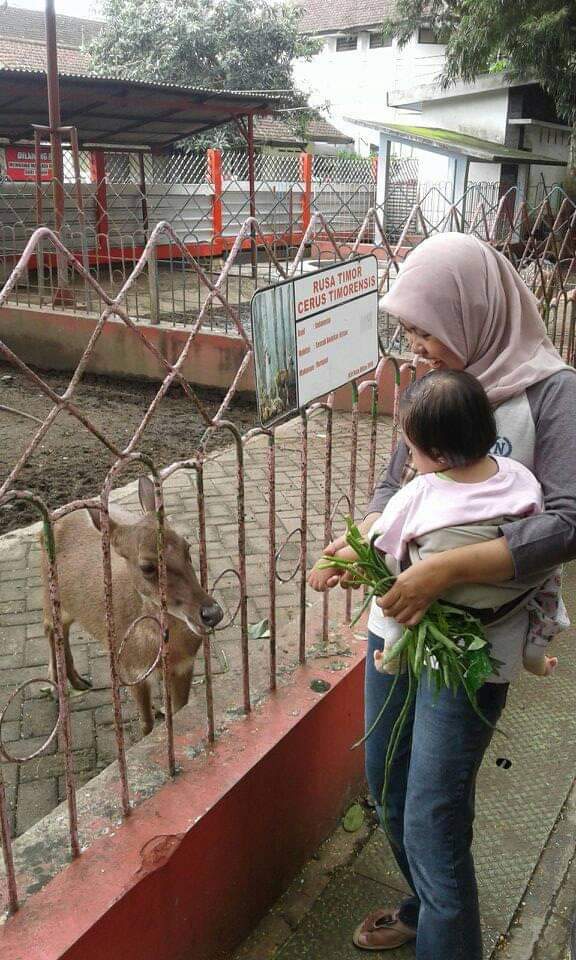 Anak berkebutuhan khusus