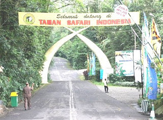 Hasil Observasi di Taman Safari Cisarua Bogor  Chyrun.com