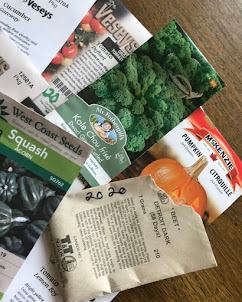 All about seeds