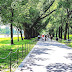 Lincoln Park (Washington, D.C.) - Lincoln Park Washington Dc