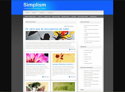 Simplism - Wordpress Theme For blogging- Wordpress themes for video