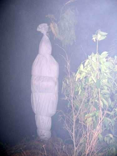 R U N N I N G KISAH NGERI HANTU  POCONG PUNTIANAK 