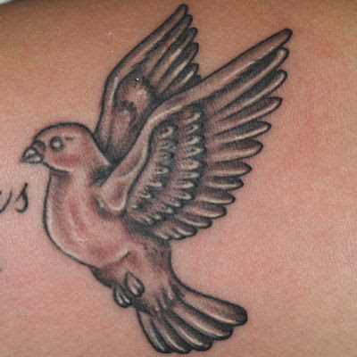 Dove Tattoo Posted by suryoo at 143 AM