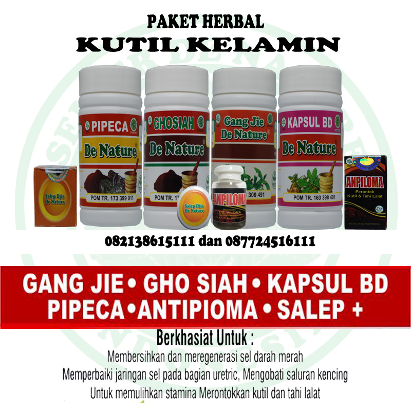 KUTIL KELAMIN BISA SIRNA DENGAN OBAT HERBAL