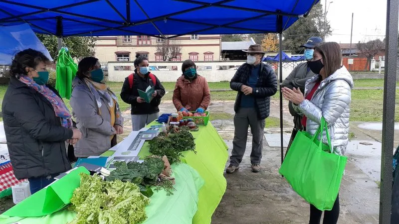 Instalan “Mercado Simulado” en Río Bueno