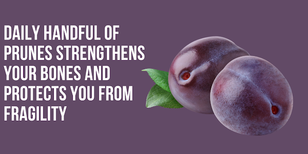 daily handful of prunes strengthens your bones and protects you from fragility