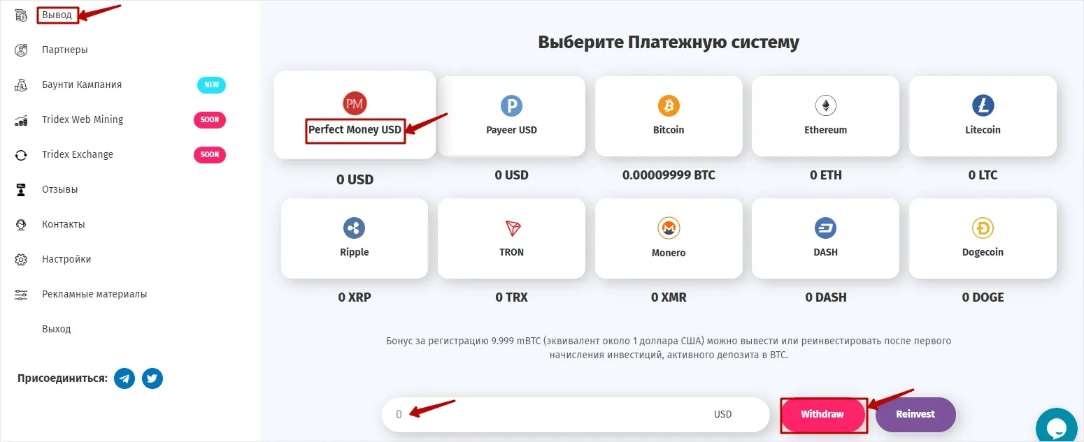 Вывод средств в Tridex