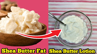 Shea Butter Lotion: Best Foundation For Dry Skin