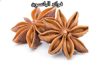 يانسون